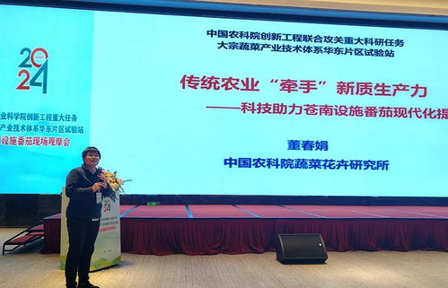 科技賦能，降本增效 中國農科院助力設施番茄產業變革